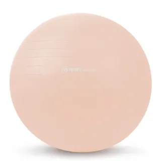 Amila Μπάλα Γυμναστικής Estetica Gym Ball 65 cm
