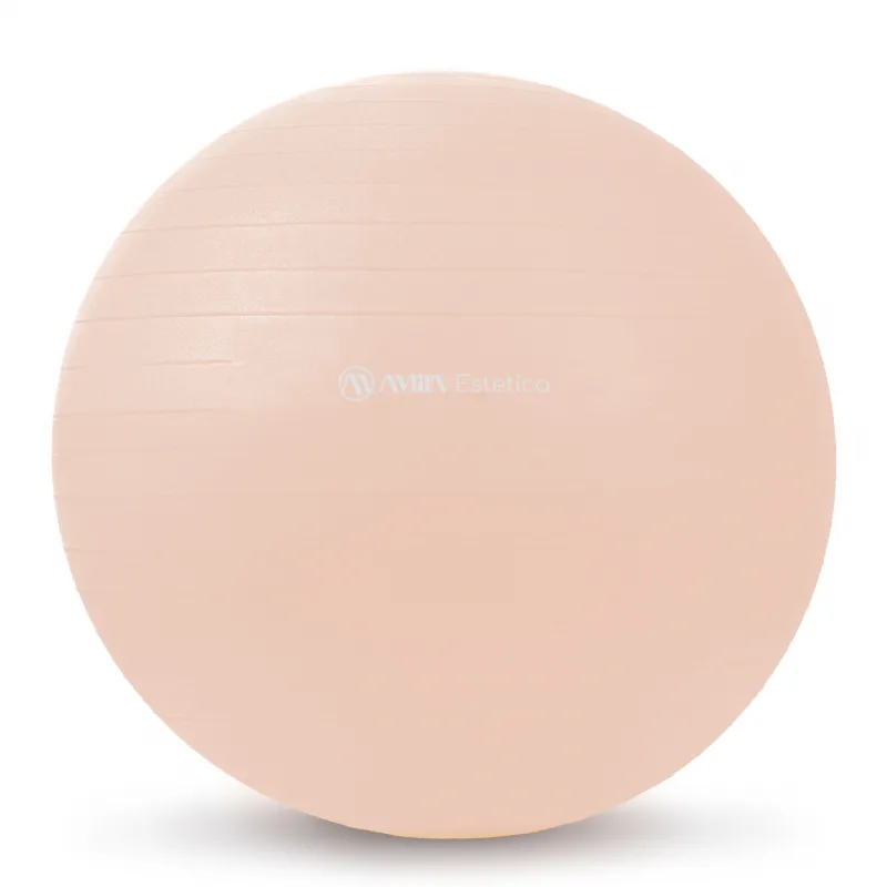 Amila Μπάλα Γυμναστικής Estetica Gym Ball 65 cm
