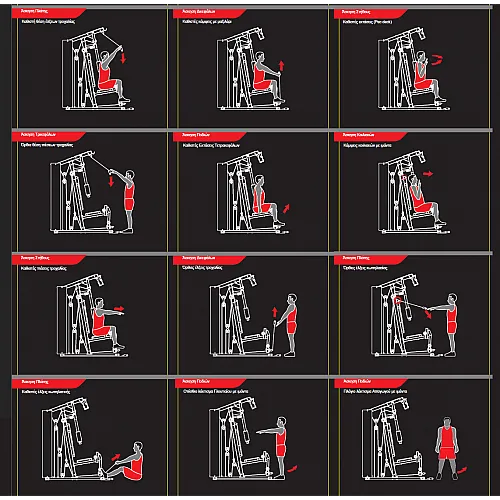 Pegasus Πολυόργανο MS‑600 - Σε 12 Άτοκες Δόσεις