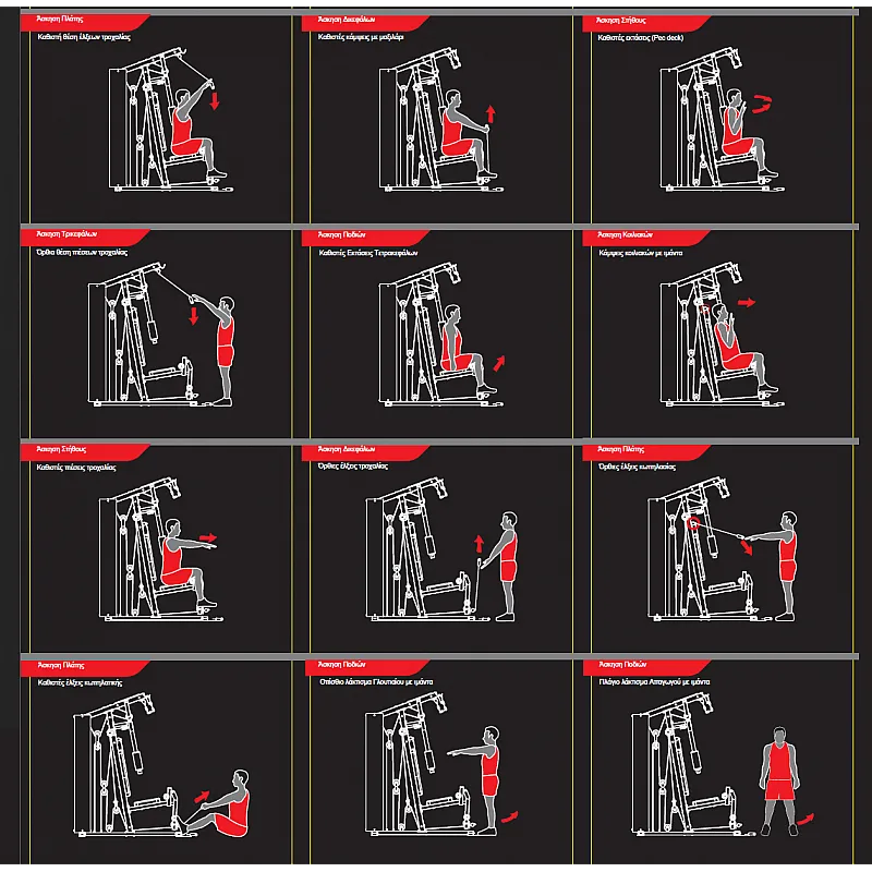 Pegasus Πολυόργανο MS‑600 - Σε 12 Άτοκες Δόσεις - Πολυόργανα με ενσωματωμένα βάρη